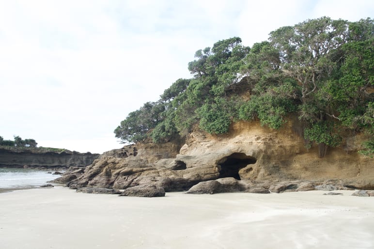 Sandy beach beneath a tree-covered rock outcrop with a small cave