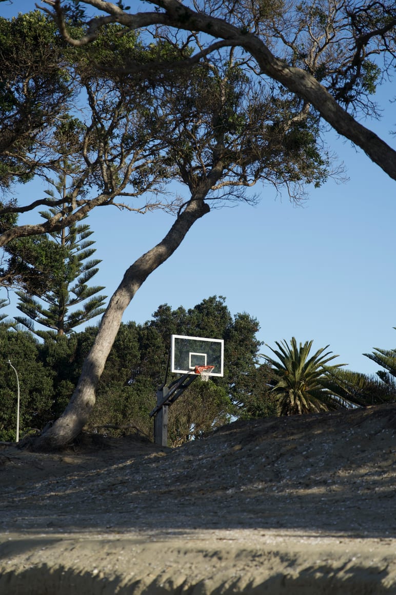 Basketball hoop beneath a leaning tree, seen above a sandy dune
