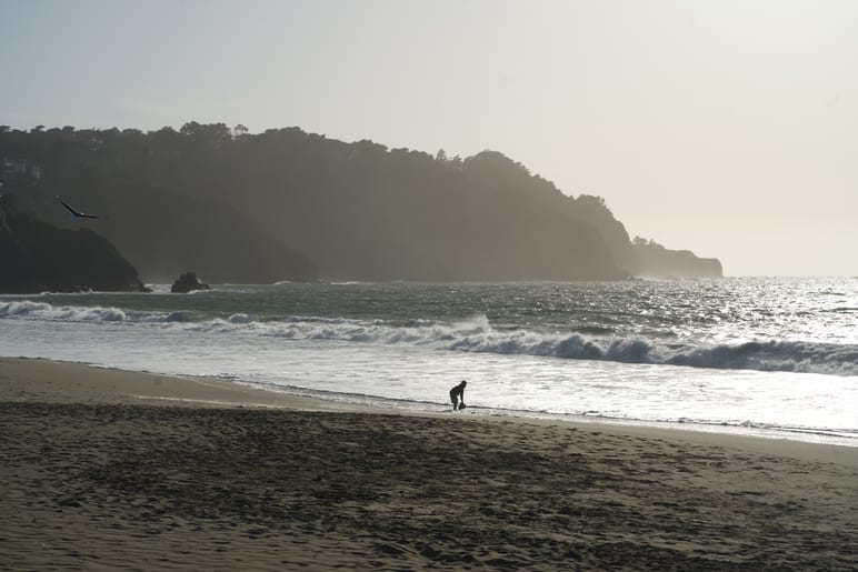 A person walking along a beach beneath hazy cliffs as a bird flies overhead