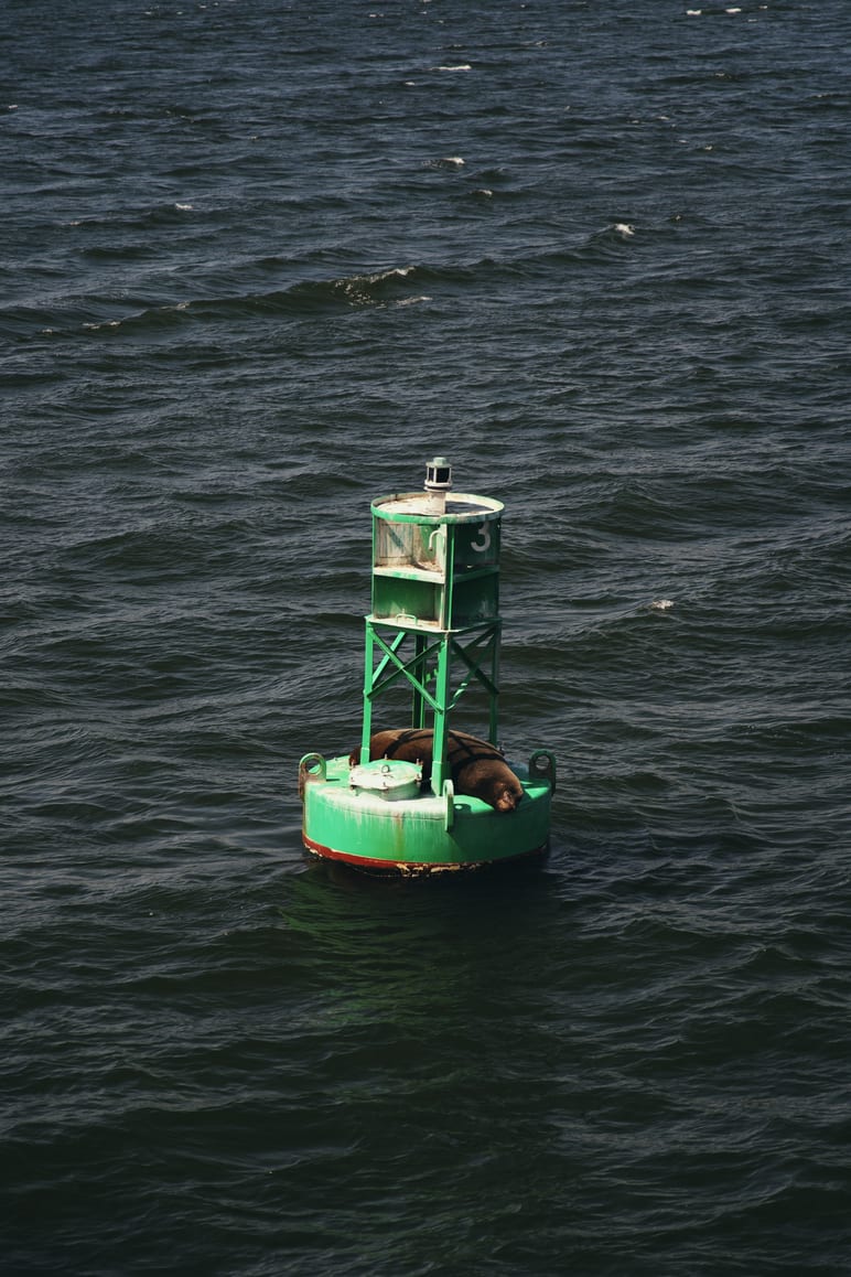 A sea lion resting on a green channel marker buoy in open water