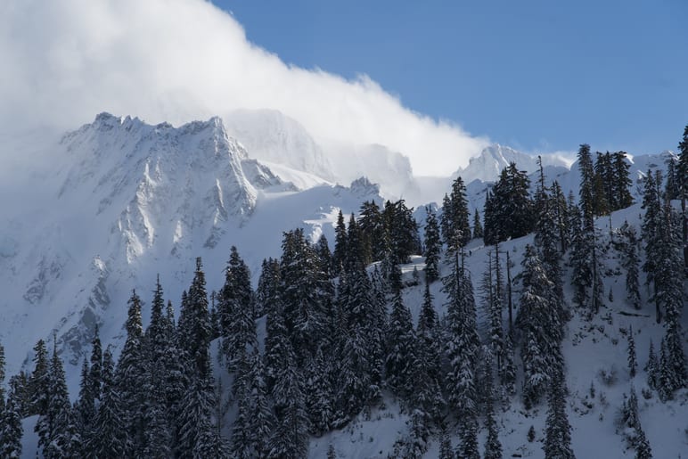 Snow capped peak with clouds streaming over a ridge of pine trees