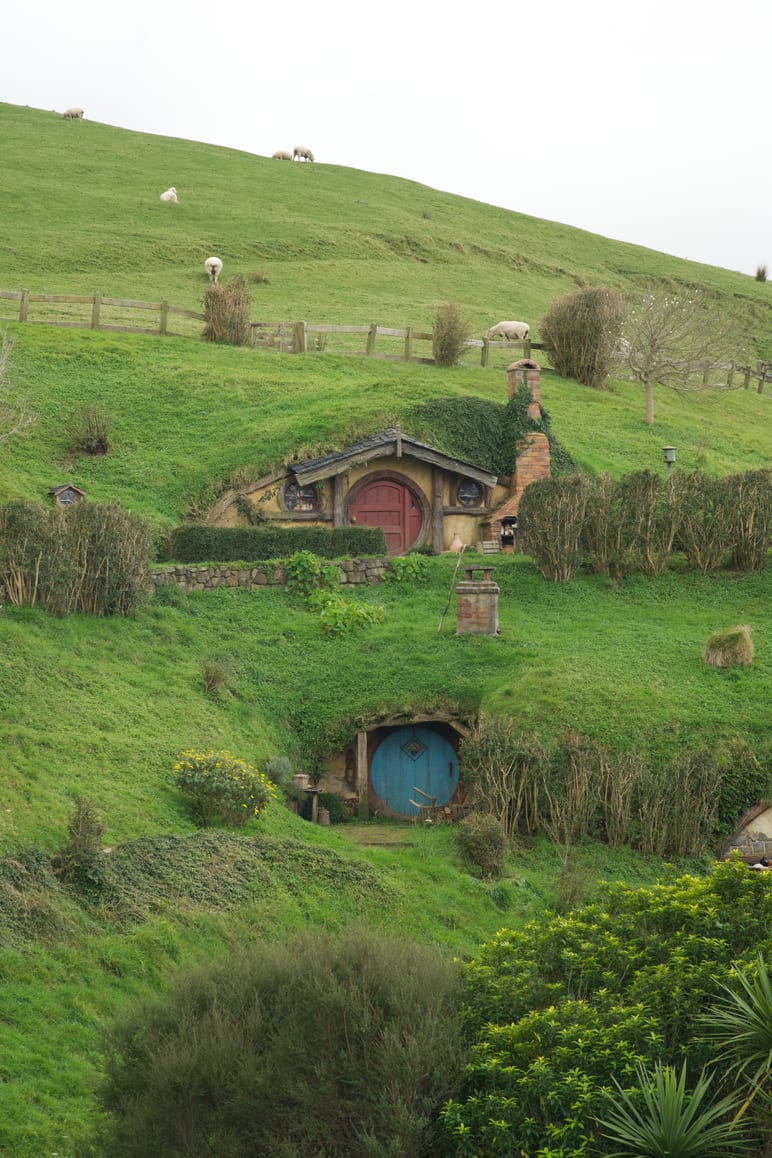 Round doors built into a grassy hillside, sheep grazing on the slope above