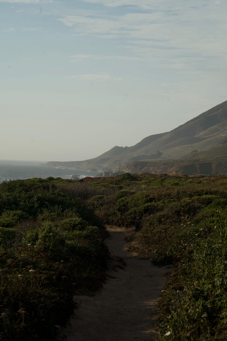 Sandy path winding through coastal brush toward hazy hills and the ocean