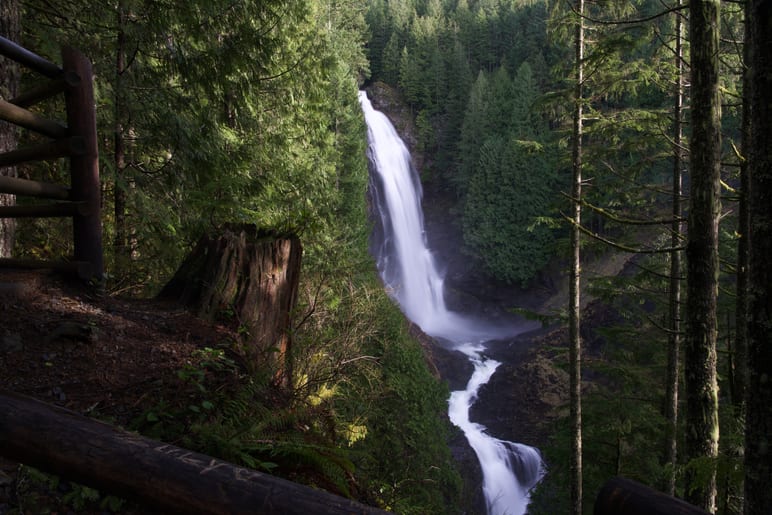 A tall waterfall drops through a dense evergreen forest