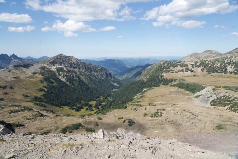 Wide alpine valley view with forested slopes and distant jagged peaks