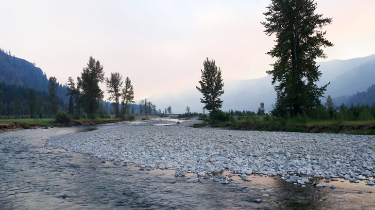 River bend lined with pine trees, hazy mountains rising on either side